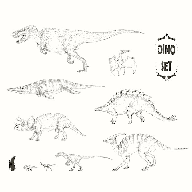 Vetor dinosaur ilustração coleção