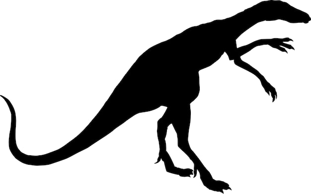 Dinossauro. a silhueta de um dinossauro, o mais rápido e malvado. coleção de animais jurássicos. ilustração a preto e branco de dinossauros para crianças.