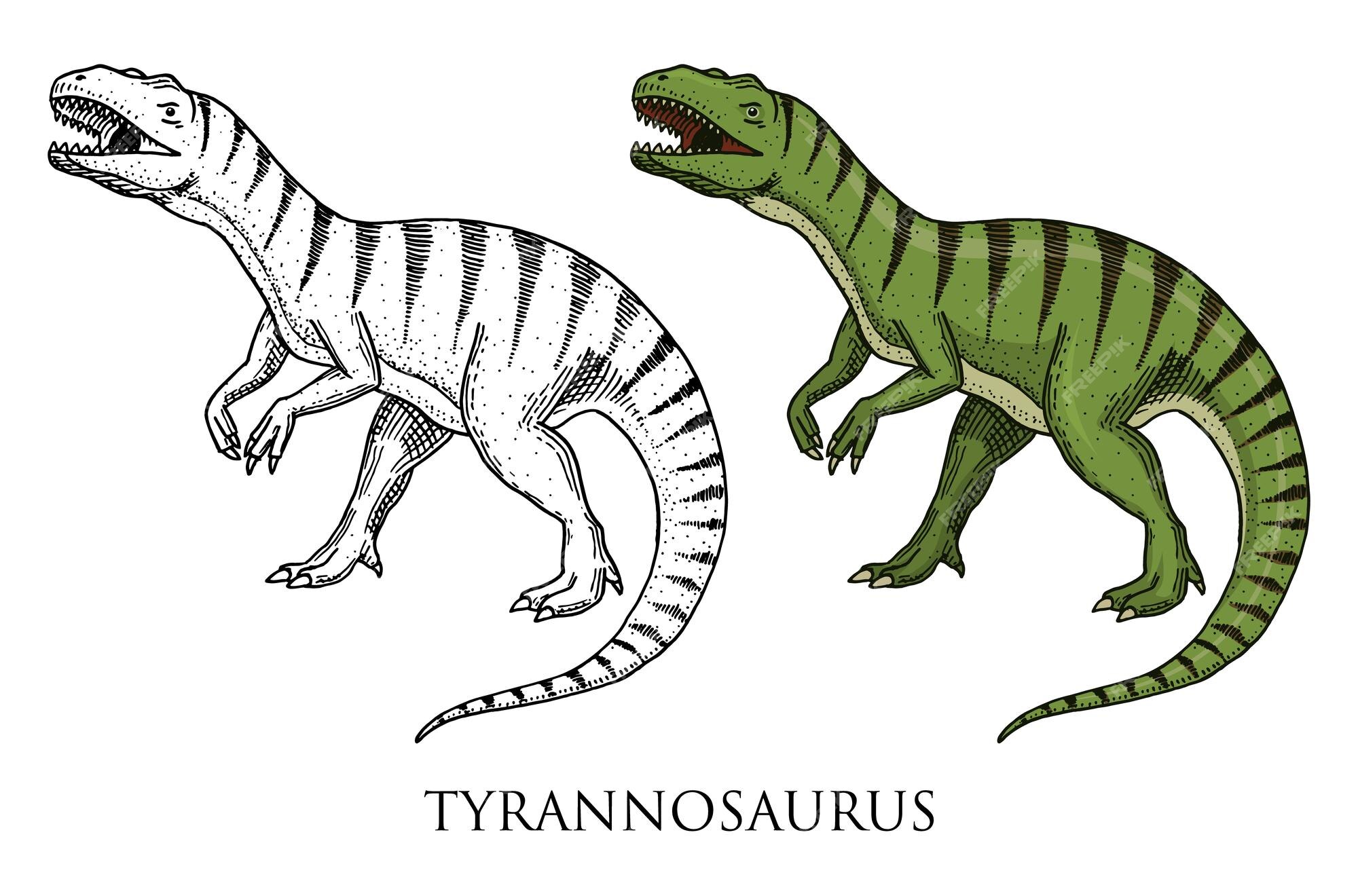 mão vetorial editável desenho ilustração de tiranossauro rex ou t