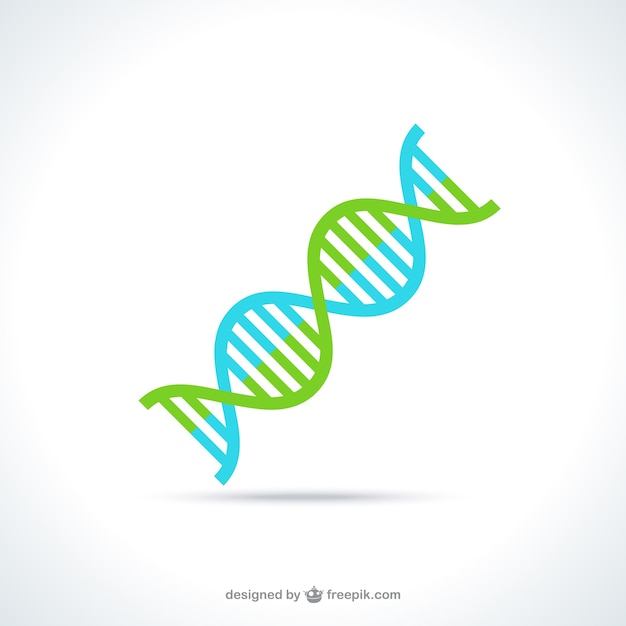 Dna estrutura da molécula