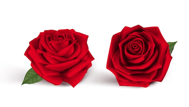 Doce fundo de dia dos namorados com rosas vermelhas realistas