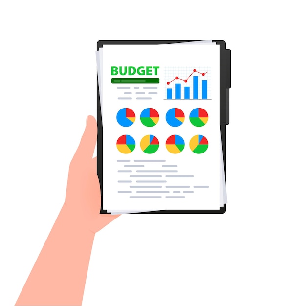Documento orçamentário contabilidade financeira análise de pesquisa de auditoria financeira