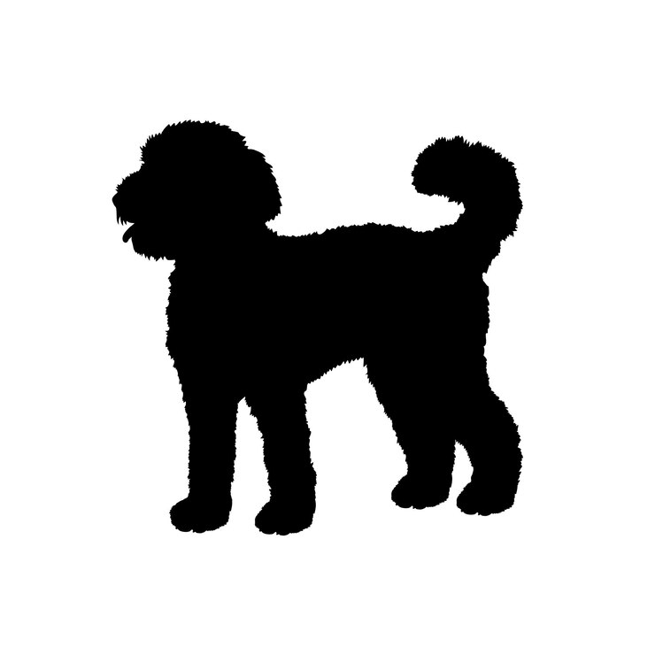 Vetor dog labradoodle silhueta raças de cães logotipo cão monograma cão rosto vetor cão sentado deitado correndo
