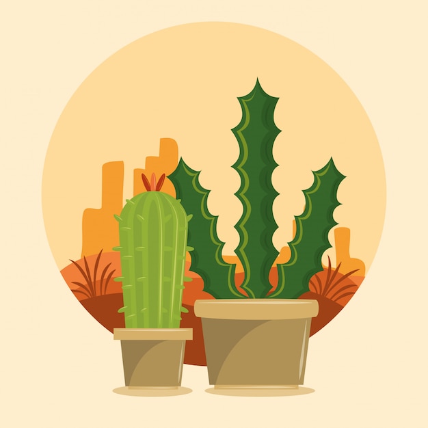 Vetor dois cactus suculento pote em desertscape