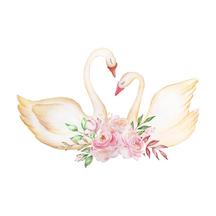 Vetor dois cisnes brancos macios aquarela com um buquê