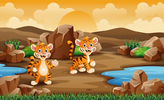 Dois filhotes de tigre no deserto