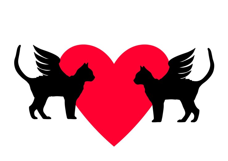 Vetor dois gatos alados reflection cat vector icon