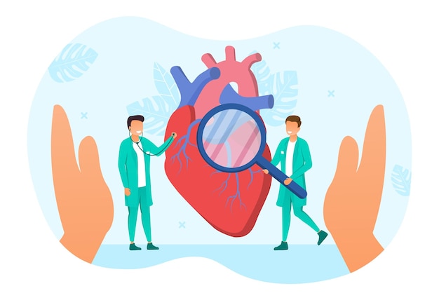 Vetor dois médicos cardiologistas estão a examinar o coração humano com uma lupa e um estetoscópio.