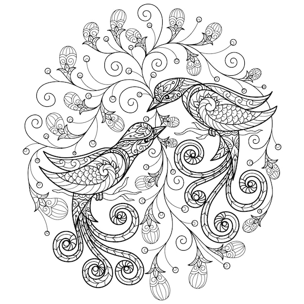 Dois pássaros. ilustração desenhada à mão para livro de colorir adulto