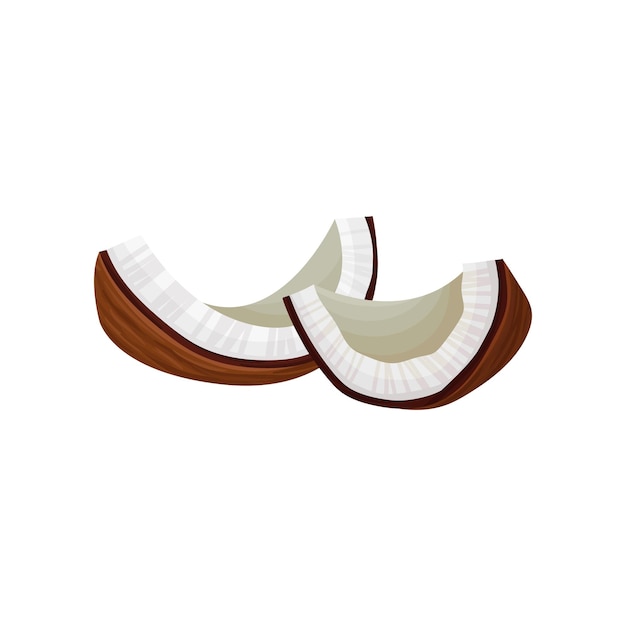 Dois pedaços quebrados de coco frutas tropicais produto natural elemento vetorial plano decorativo para menu ou pôster de embalagem