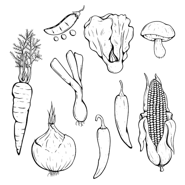 Doodle coleção de legumes frescos com pimenta, milho, cenoura e cogumelo
