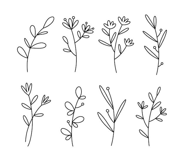 Vetor doodle coleção de ramos de flores deixa arte de linha