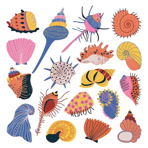 Doodle conchas ornamentais e conchas marinhas duras grande conjunto de vetores