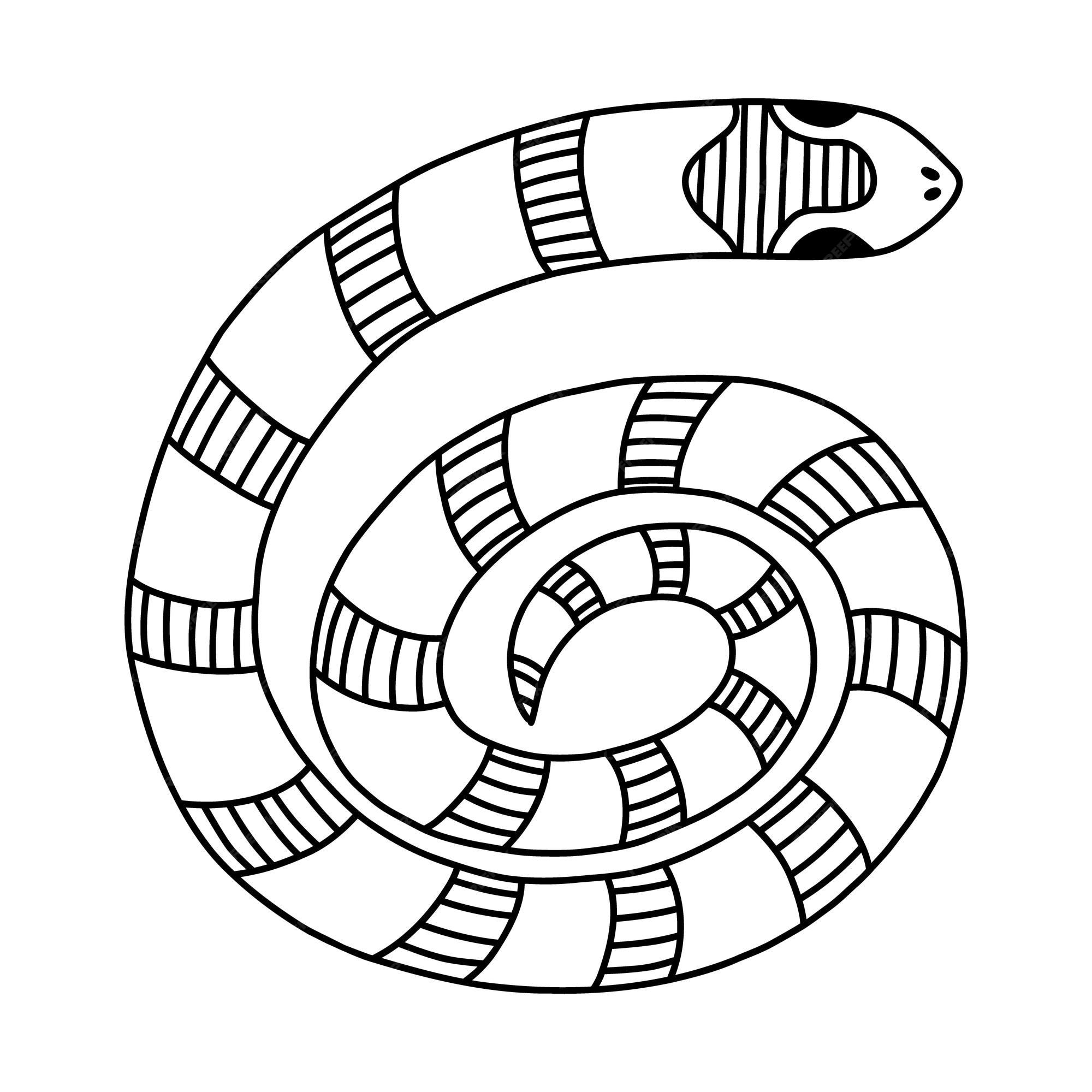 Doodle desenhado à mão com contorno de cobra elapidae selva ou serpente  zoológica enrolada em um círculo víbora venenosa tropical ou oeste selvagem  em vista superior vetor conceito de vida selvagem cobra