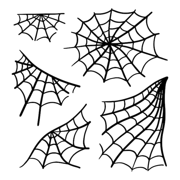 Vetor doodle do ícone do vetor da teia de aranha da teia de aranha