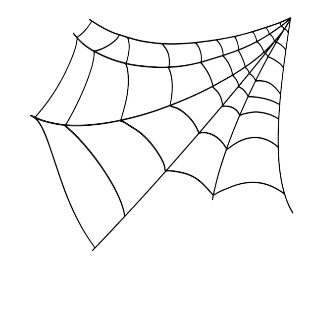 Vetor doodle ícone de teia de aranha isolado no símbolo branco do dia das bruxas ilustração vetorial de esboço