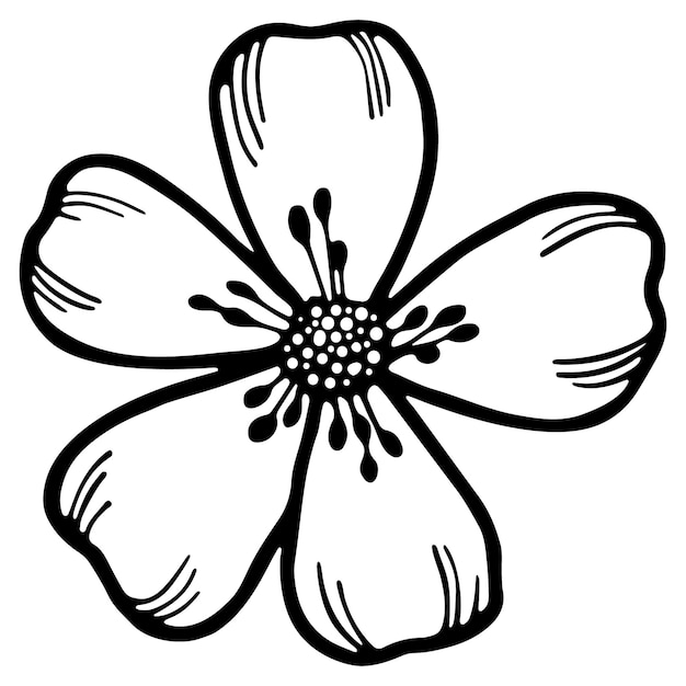 Doodle ilustração de flor de cerejeira