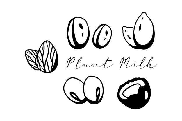 Doodle ouline banner de leite de planta diferente ilustração vetorial de leite sem lactose ícone de variações alternativas de leite isolado em fundo branco