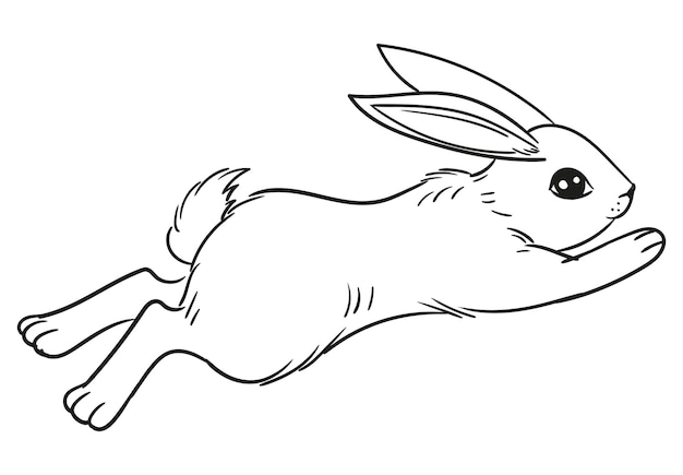 Doodle sketch bunny jumping. coelho bonito saltando ilustração vetorial isolada no fundo branco