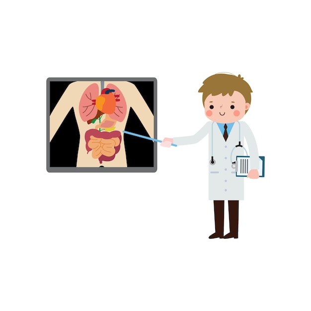 Vetor doutor europeu de desenho animado com ecrã de raios-x mostrando órgãos internos e esqueleto de raio-x