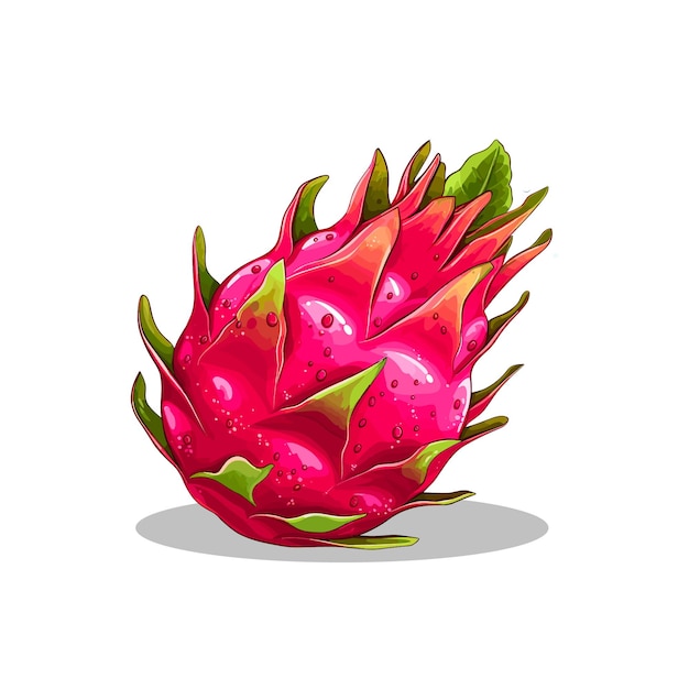 Vetor dragão fruta vetor realista fruta vetor ilustração