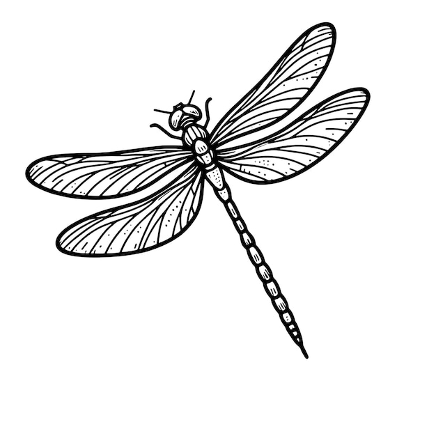 Dragonfly SVG (em inglês)