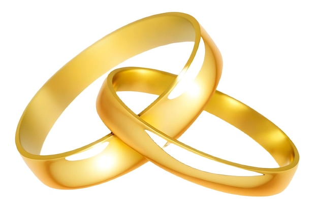 Duas alianças de casamento de ouro ilustração vetorial