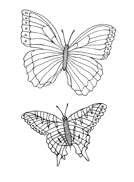 Duas borboletas desenhadas à mão isoladas no fundo branco