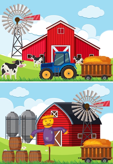 Duas cenas com tractor e espantalho nas fazendas