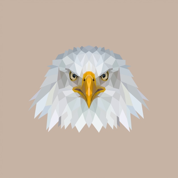 Vetor eagle low poly art