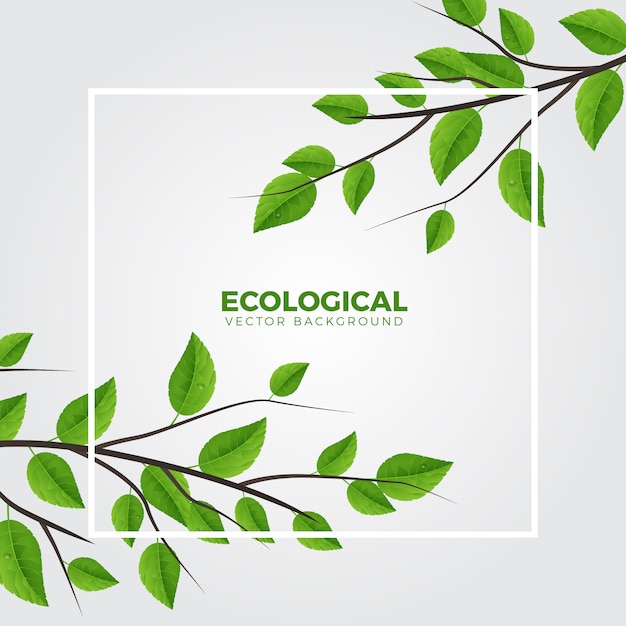 Ecologia verde ramo limpo fundo