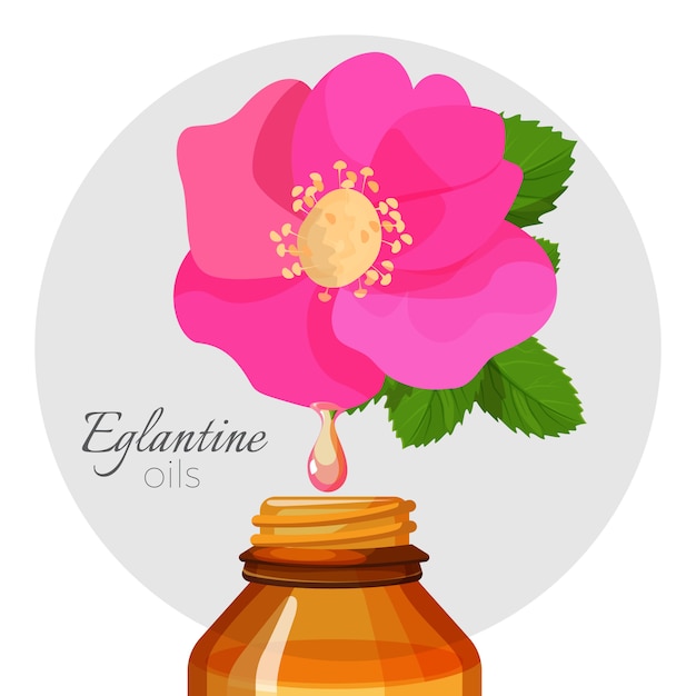 Eglantin óleos com flor rosa selvagem e garrafa.