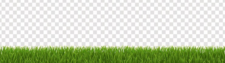 Vetor egreengrassborderwithisolatedtransparentbanner_8_230401