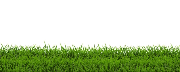 Vetor egreengrassframeandwhitebackground_10_m_230403