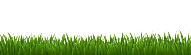 eGreenGrassPanoramaAndIsolatedWhiteBackground_8_250305 (em inglês)