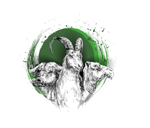 Eid Al Adha Ovelha Búfalo Camelo Sacrifício Festa Esboço Desenhado à Mão Ilustração Vetorial
