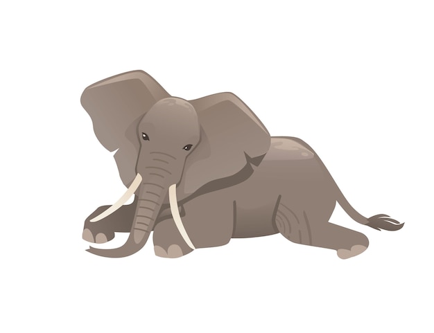 Elefante adulto bonito deitado no chão e olhe para você ilustração vetorial plana de desenho animal isolada em fundo branco