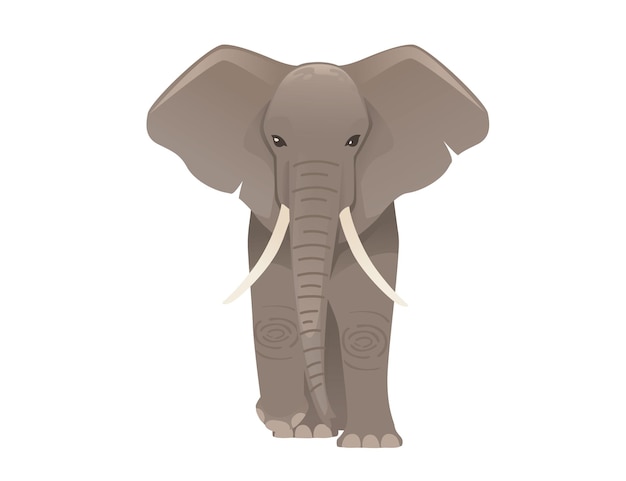 Elefante adulto bonito fica no chão e olha para você ilustração vetorial plana de desenho animal isolada em fundo branco