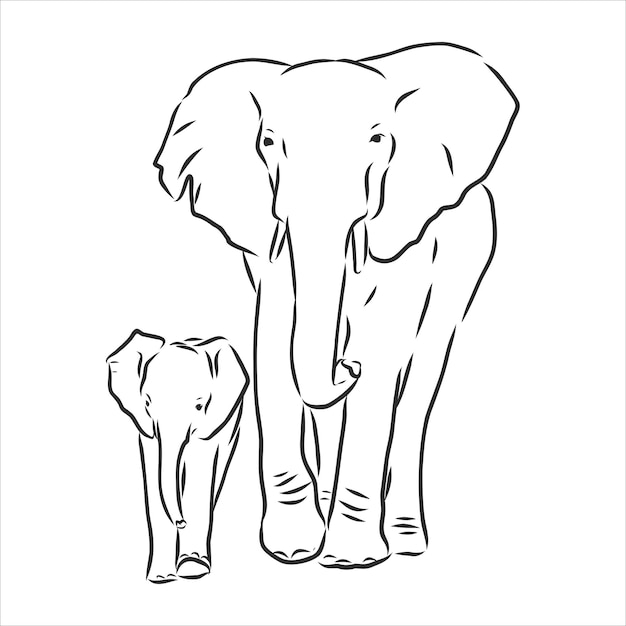 Elefante bebê em estilo de contorno isolado no fundo branco, ilustração vetorial