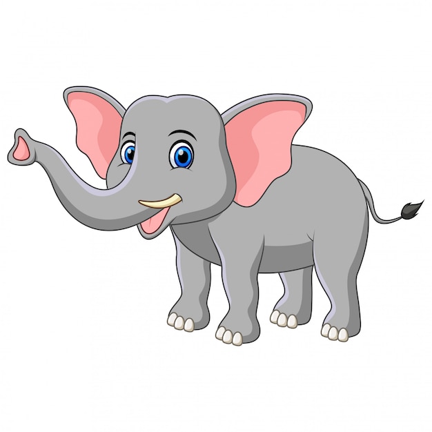 Vetor elefante bonito dos desenhos animados isolado