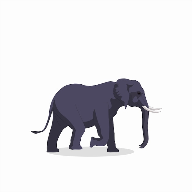 Elefante desenhado a mão