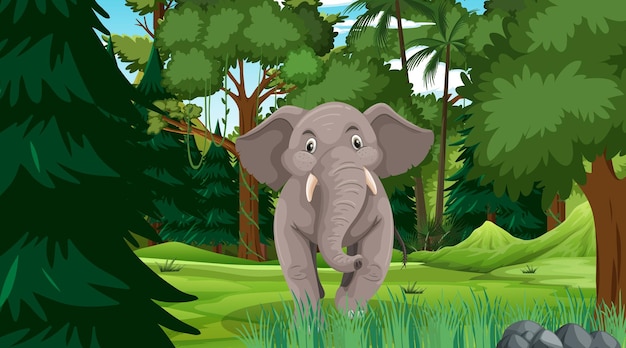 Elefante na floresta ou cenário de floresta tropical com muitas árvores