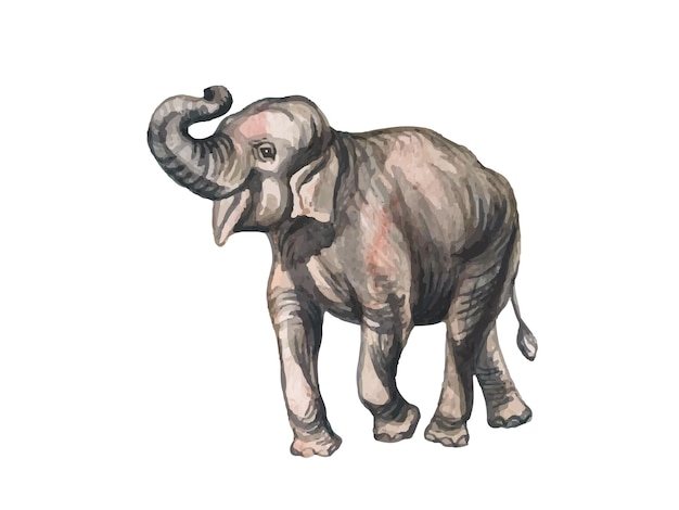 Elefante pintado à mão em aquarela