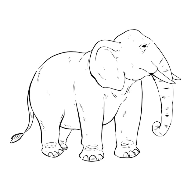 Elefante preto e branco com estilo de desenho ou desenho à mão