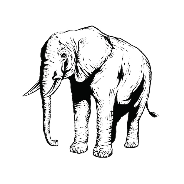 Vetor elefante vintage desenhado à mão