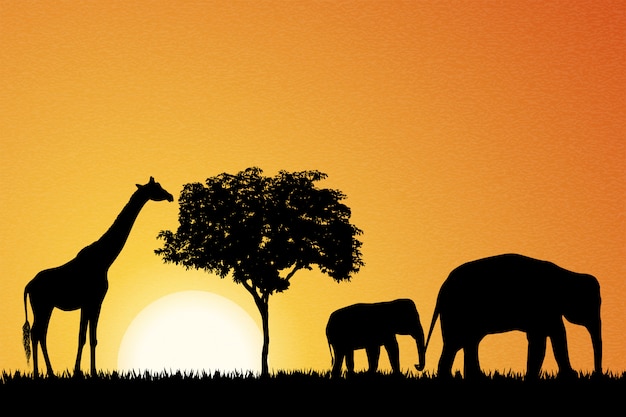 Elefantes e girafa na África