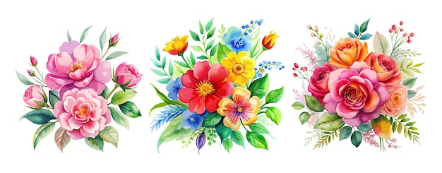 Elegante aquarela pintada à mão Set de ilustrações vetoriais de cachos florais
