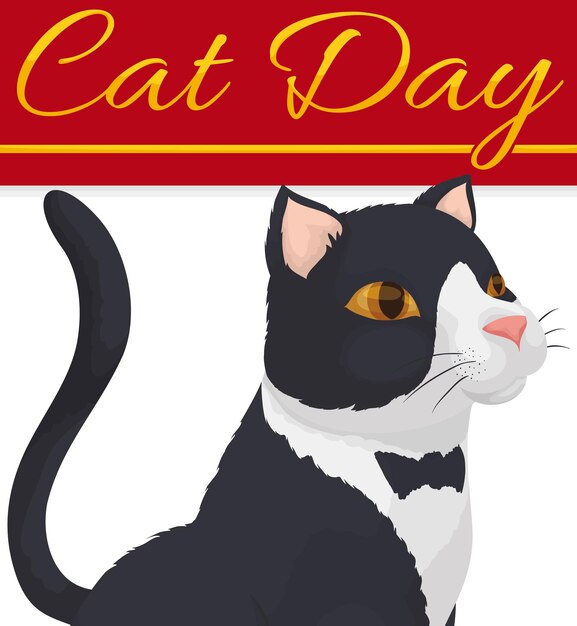 Vetor elegante gato branco e preto com bela pelagem como um esmoquinho distinto para celebrar o dia do gato