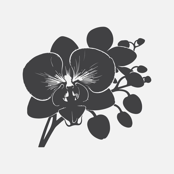 Vetor elegante silhueta de flor de orquídea um símbolo atemporal de graça e beleza