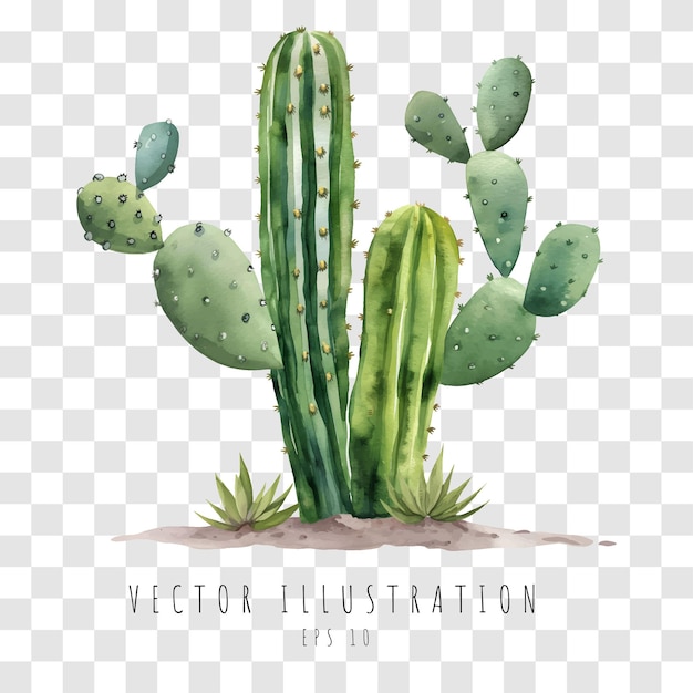 Elemento de aquarela isolado em fundo branco Ilustração vetorial